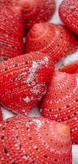 Vibrant red sea urchins with snow-like texture on mobile wallpaper.