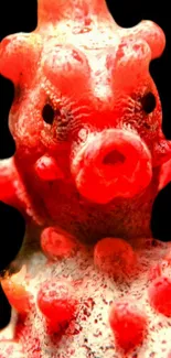 Close-up of a vibrant red pygmy seahorse on black background.