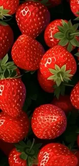Vibrant wallpaper with fresh red strawberries.
