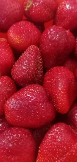 Close-up of fresh red strawberries in an orange bowl.