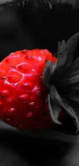 Vibrant red strawberry on monochrome background wallpaper.