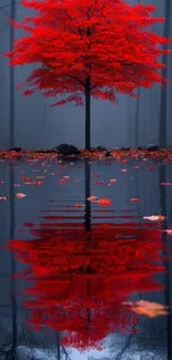 Vibrant red tree reflected in a serene lake with autumn leaves.
