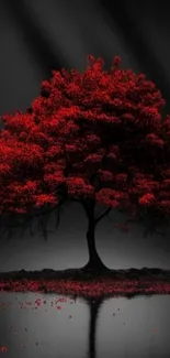 Vibrant red tree with reflection on dark water.