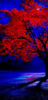 Vibrant red tree against a deep blue night sky, creating a stunning contrast.