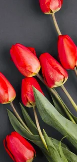 Vibrant red tulips with green leaves on a dark background for mobile wallpaper.