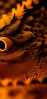 Close-up of reptile eye with orange textured scales for mobile wallpaper.