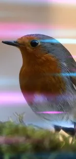 Robin bird with neon lines on mossy background.