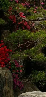 Vibrant garden with rocks and flowers.