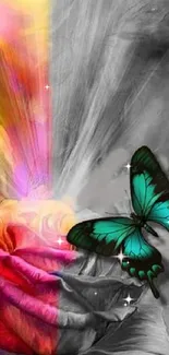 Vibrant multicolored rose with a turquoise butterfly on a grayscale background.