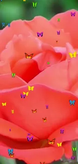 Orange rose with colorful butterflies mobile wallpaper.