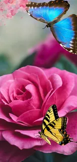 Pink rose with butterflies wallpaper for phones.