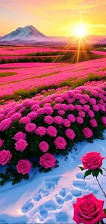 Pink roses and sunset over a snowy mountain landscape.