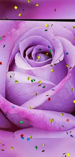 Purple rose with colorful confetti wallpaper.