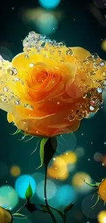 Vibrant yellow rose with sparkling details on a dark cyan background.