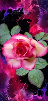 Vibrant pink rose with abstract background.