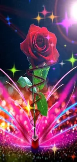 Vibrant digital wallpaper with a red rose and colorful abstract effects.