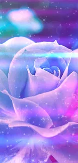 A vibrant, dreamy rose with a colorful, violet-toned background.