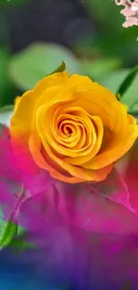 Vibrant yellow rose with colorful background