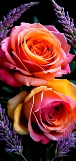 Vibrant orange roses with purple accents, perfect for mobile wallpaper.