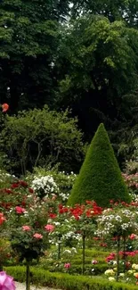 A vibrant garden with roses and lush greenery.