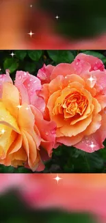 Vibrant roses with sparkles and droplets in a lush garden setting