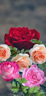 Vivid red and pink roses with green leaves against a blurred background.