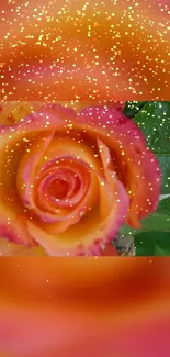 Vibrant orange rose with glitter accents on a leafy background.