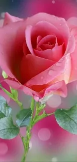 Pink rose with dewdrops on vibrant, bokeh background.