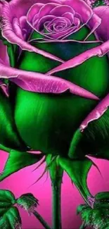 Bold pink and green rose wallpaper design.