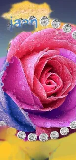 Vibrant pink and purple rose with dew and diamonds, perfect for mobile wallpaper.