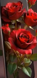 Red roses emerging from a mobile phone wallpaper.