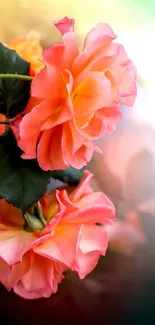 Vibrant pink and orange roses with leaves on a gradient background.