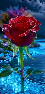 A vibrant red rose with dew against a magical night backdrop.