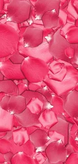 Mobile wallpaper with vibrant pink rose petals.