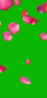 Vibrant rose petals on a green background wallpaper.