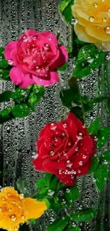 Vibrant roses with raindrops on a lush green background.