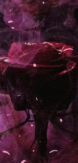 Dark pink rose with smoky effect on mobile wallpaper.