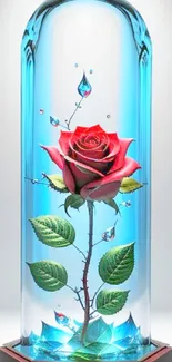 A vibrant red rose encased in a clear glass dome, surrounded by droplets.