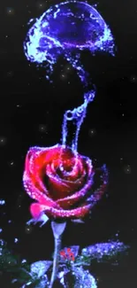 A vibrant red rose with water art on a black background wallpaper.