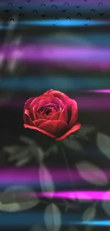 A vibrant rose with flowing neon lights creates a stunning wallpaper aesthetic.