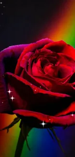 Red rose illuminated by a colorful rainbow on a dark background.