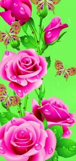 Pink roses and butterflies on green background wallpaper.