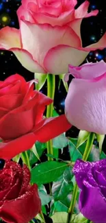 Vibrant roses against a galaxy background wallpaper.