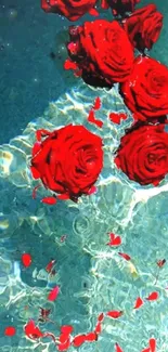 Red roses gracefully float on teal water.