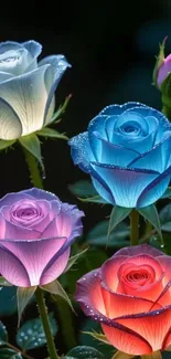 Multicolored roses with dewdrops in vibrant hues.
