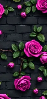 Pink roses on black brick background wallpaper.