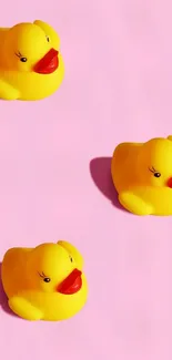 Yellow rubber ducks on pink background wallpaper.