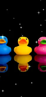 Vibrant trio of rubber ducks on a black background.