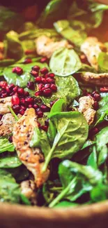 Vibrant salad with spinach, chicken, and pomegranate seeds.