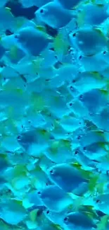 A vibrant school of blue fish swimming underwater.